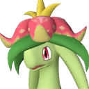 Dinossom icon